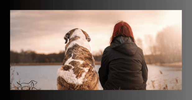 Verändertes Erscheinungsbild Hundesenior - Mensch und Hund